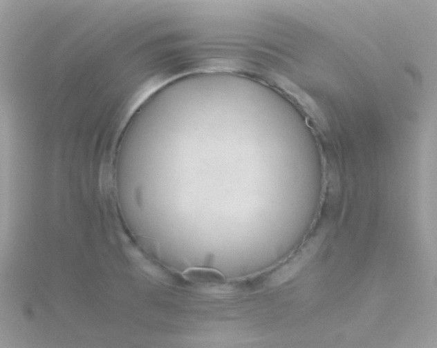 X0000115661473200911251659
