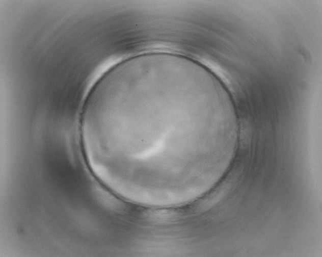 X0000115661474200911251659