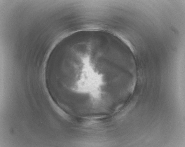X0000115661475200911251659