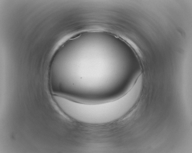 X0000115661477200911251659