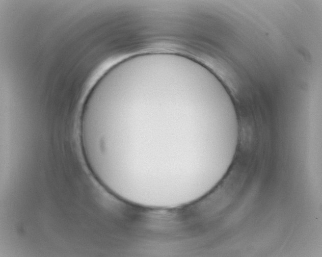 X0000115661478200911251659