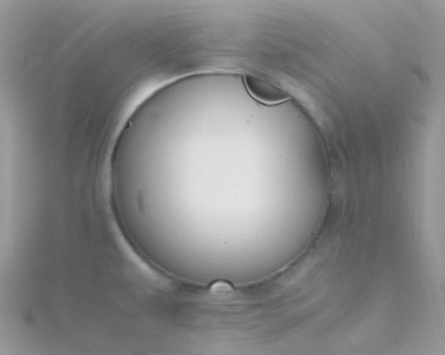X0000115661479200911251659