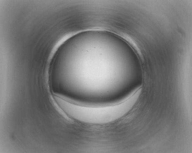 X0000115661480200911251659