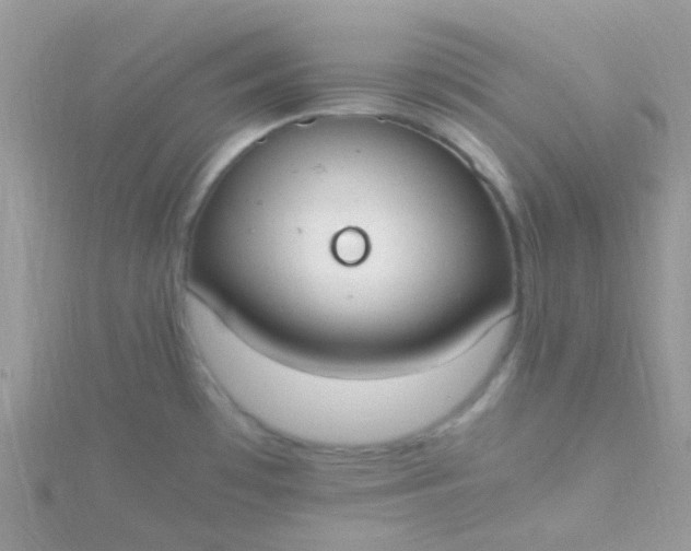 X0000115661481200911251659