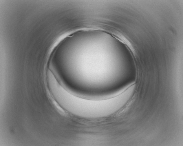 X0000115661485200911251659