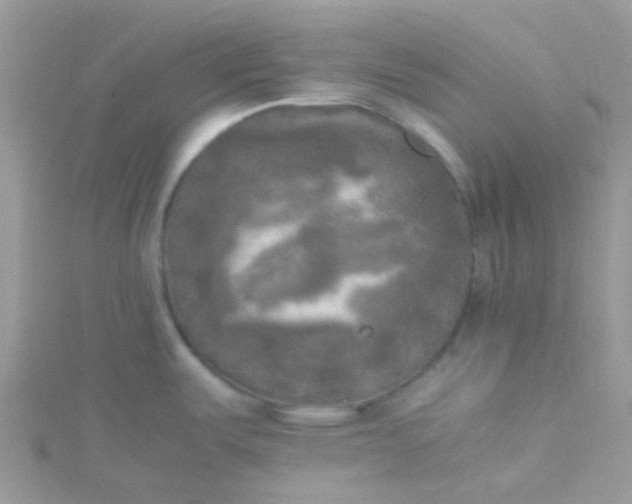 X0000115661487200911251659
