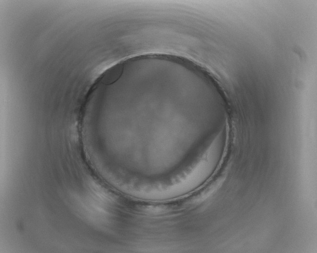 X0000115661497200911251658