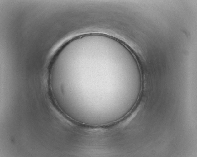 X0000115661502200911251658