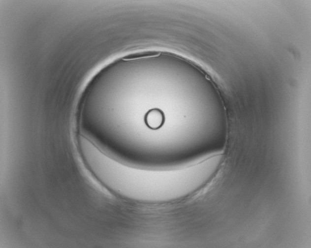 X0000115661518200911251658