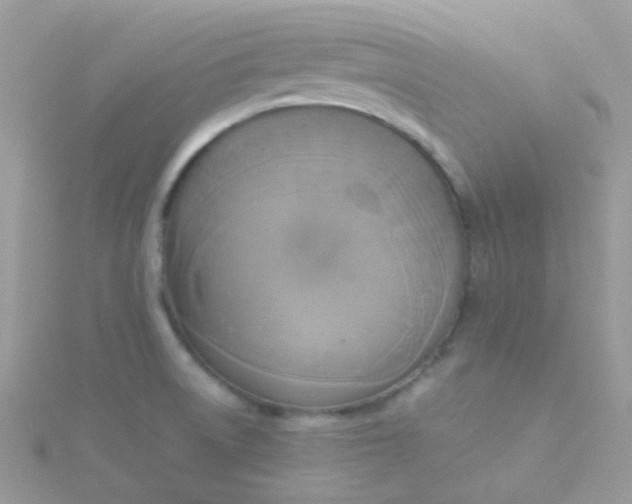 X0000115661522200911251659
