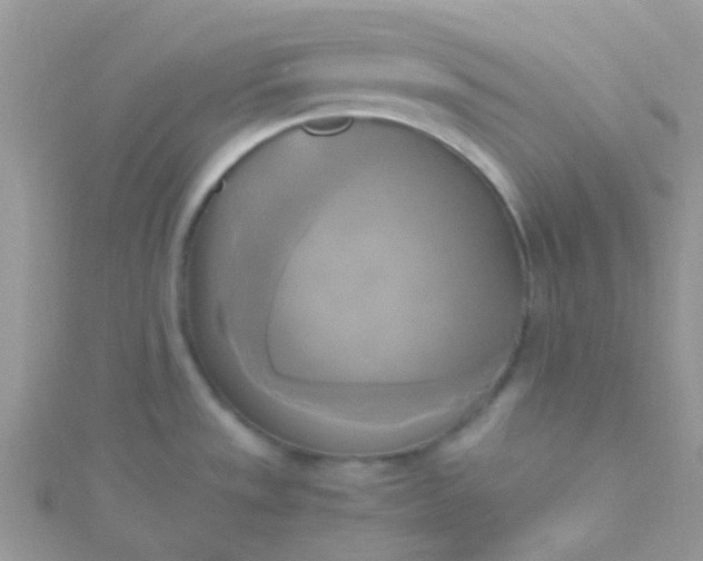 X0000115661533200911251659