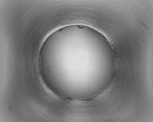 X0000115661534200911251659
