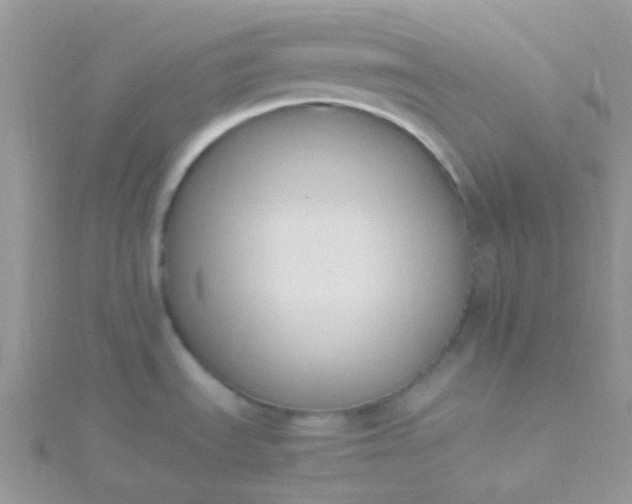 X0000115661535200911251659