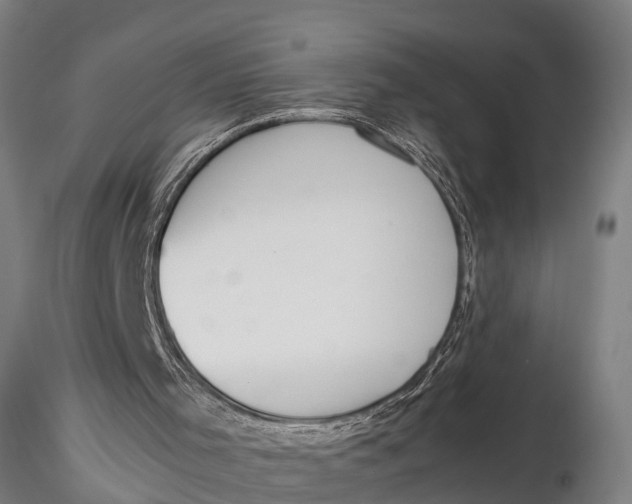 X0000115660001200912031343