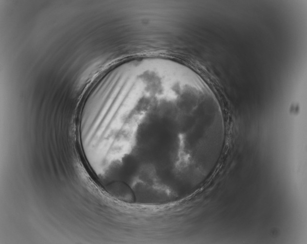 X0000115660002200912031343