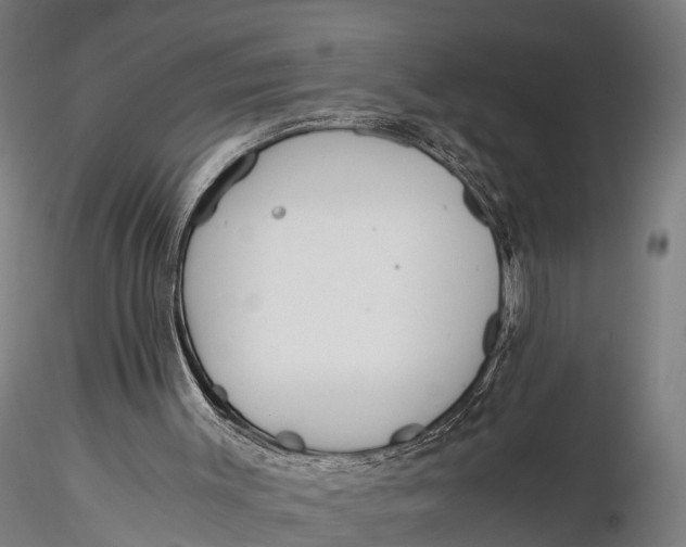 X0000115660003200912031343