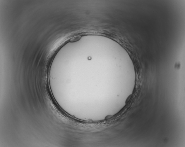 X0000115660005200912031343