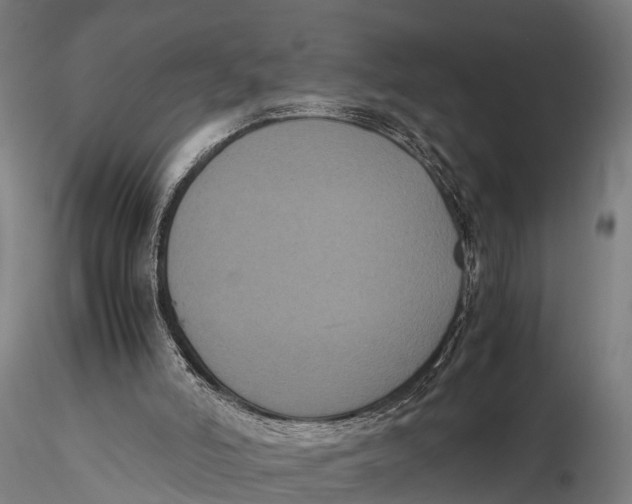 X0000115660006200912031343