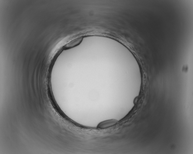 X0000115660007200912031343