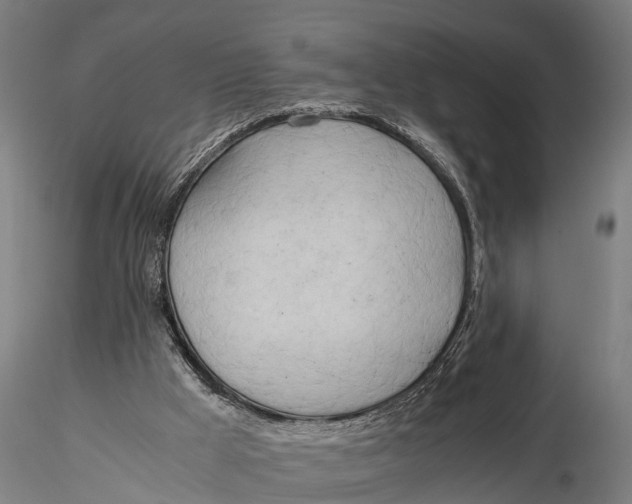 X0000115660009200912031343