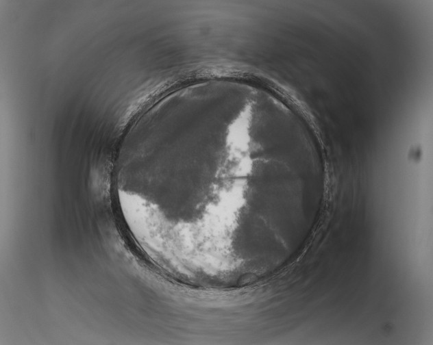 X0000115660010200912031343