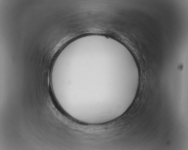 X0000115660011200912031343