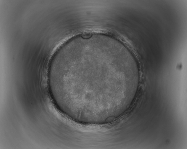 X0000115660012200912031343