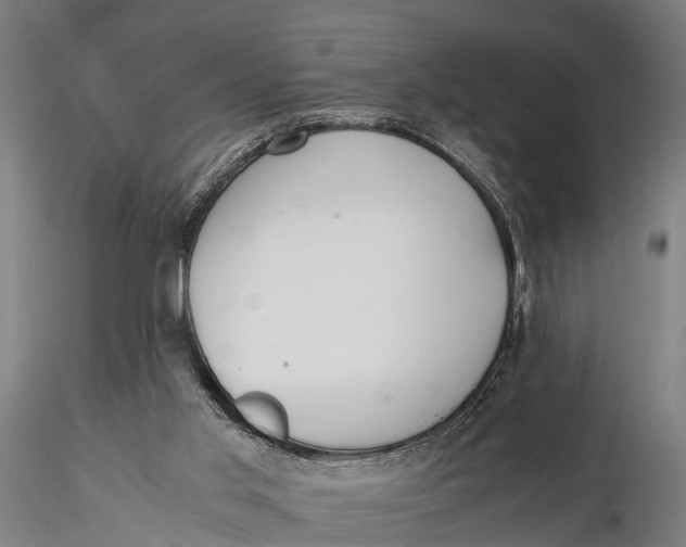 X0000115660013200912031343