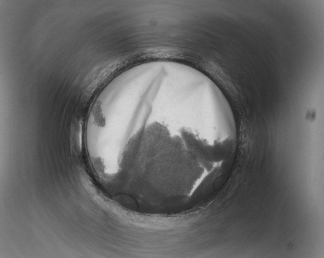 X0000115660014200912031343