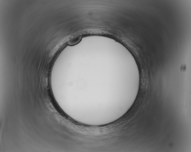 X0000115660015200912031343