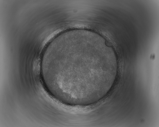 X0000115660016200912031343