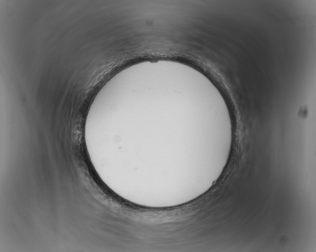 X0000115660017200912031343