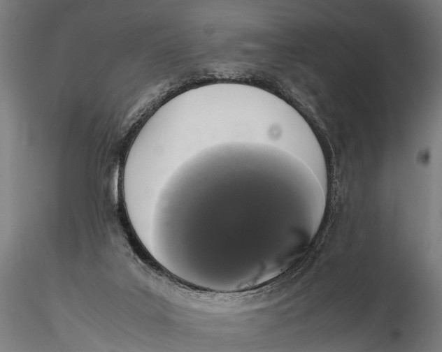 X0000115660019200912031343