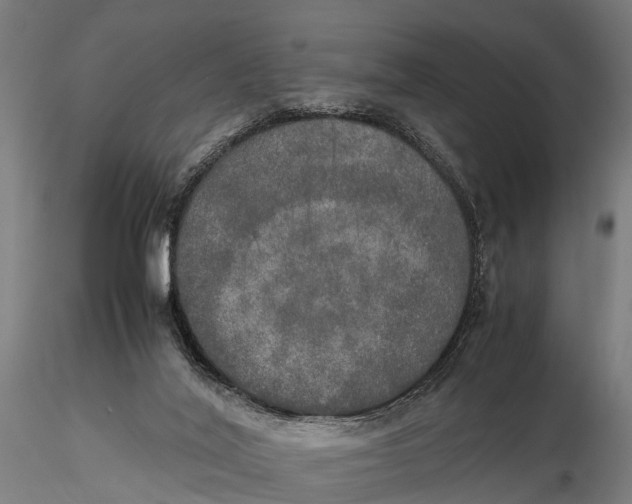 X0000115660020200912031343