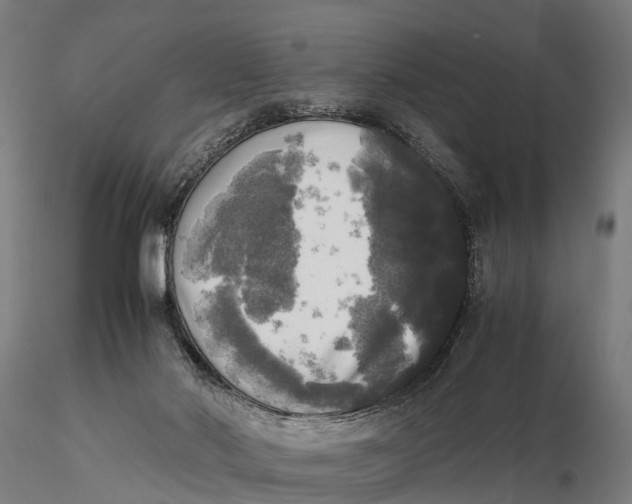 X0000115660022200912031342