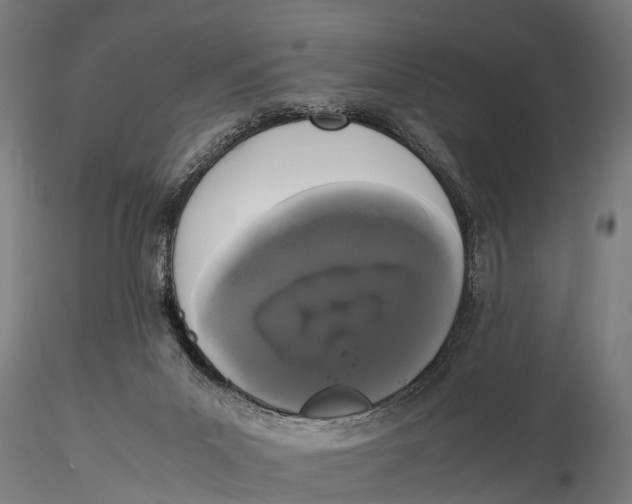 X0000115660023200912031342