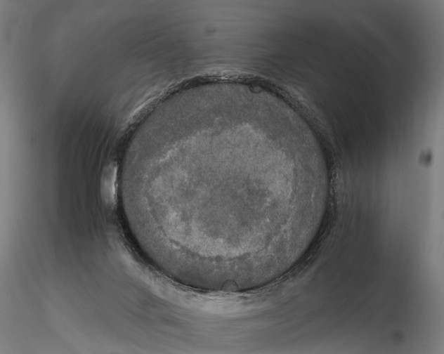 X0000115660024200912031342