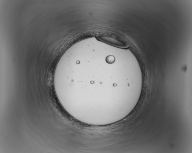 X0000115660025200912031342