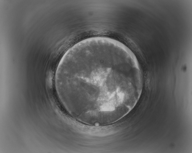 X0000115660026200912031342