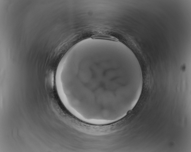 X0000115660027200912031342