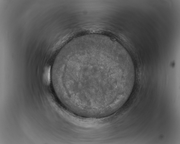 X0000115660028200912031342