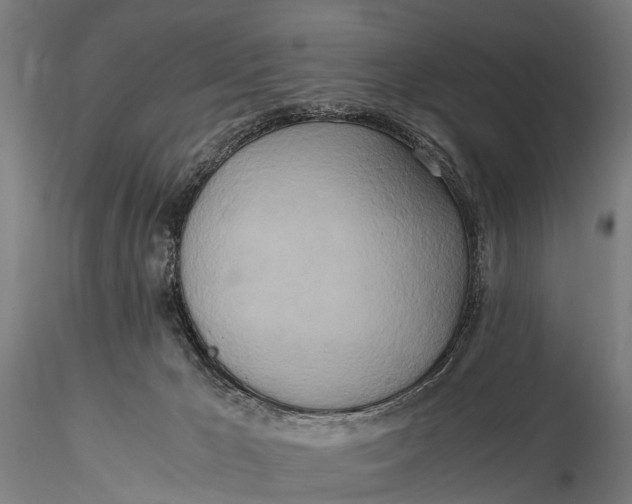 X0000115660029200912031342