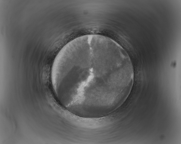 X0000115660030200912031342