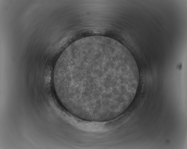 X0000115660032200912031342