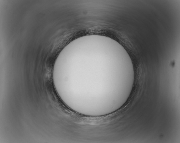 X0000115660033200912031342