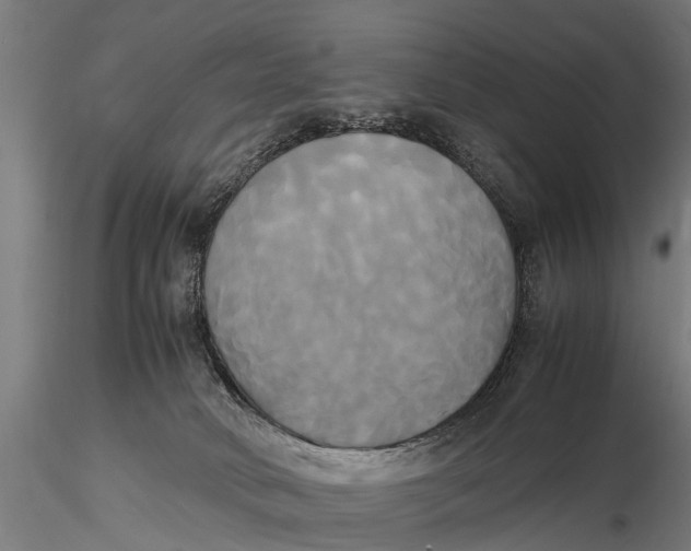 X0000115660034200912031342