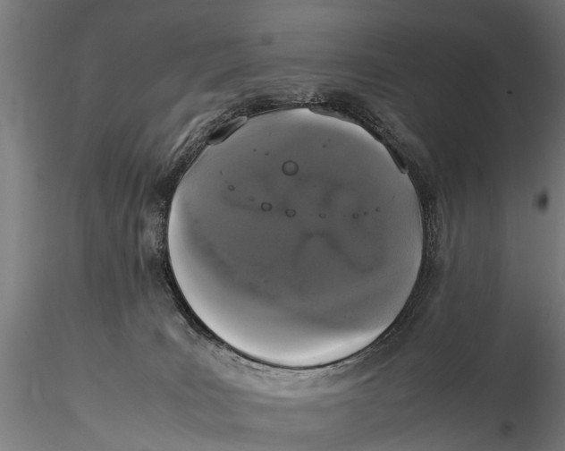 X0000115660035200912031342