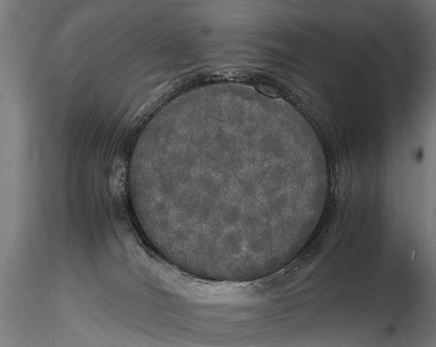 X0000115660036200912031342