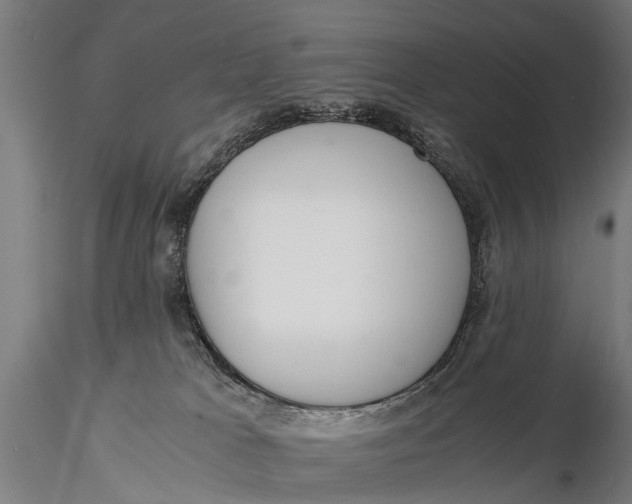 X0000115660037200912031342