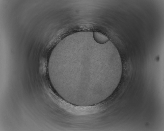 X0000115660038200912031342